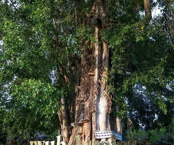 ヴィラ Bijia W Private Pool - Peaceful Quiet Luxury - Near Monkey Forest